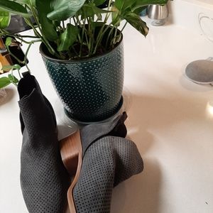 Dolce Vita "Kaidie" bootie